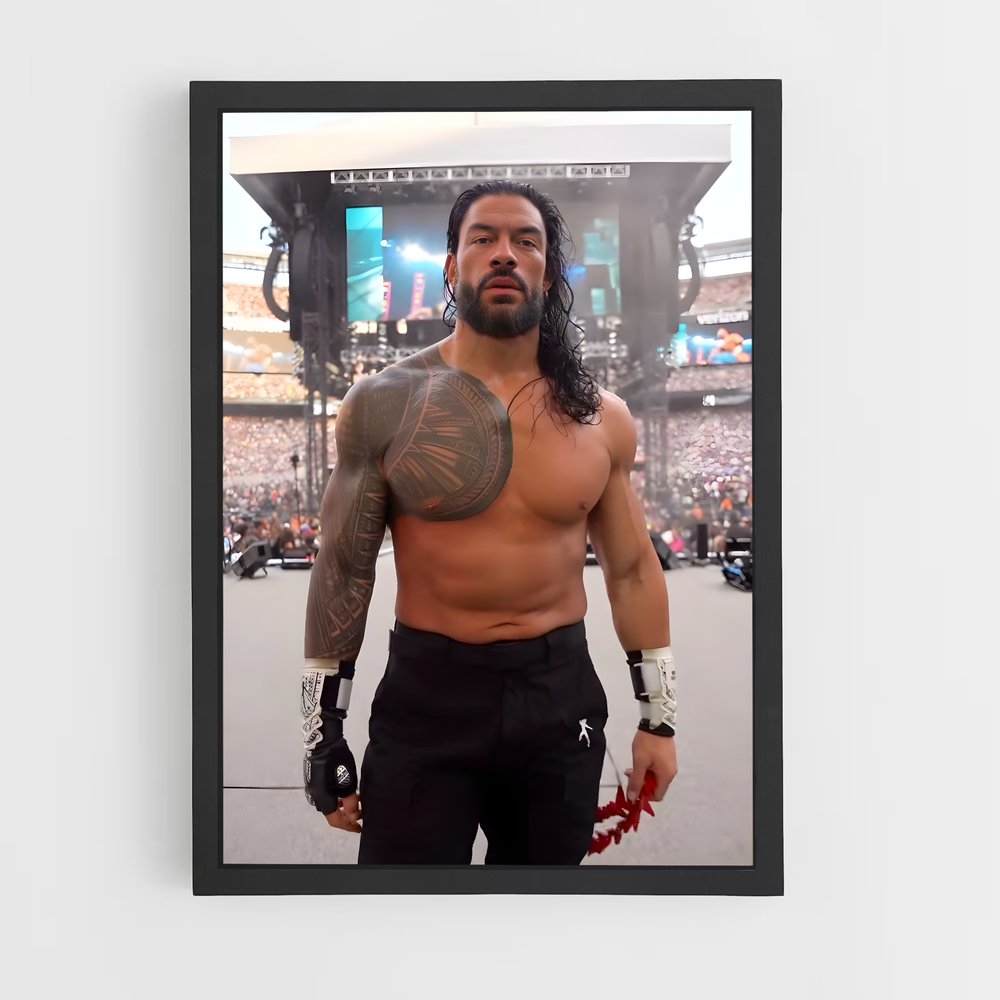 Poster Roman reigns (vue 2)